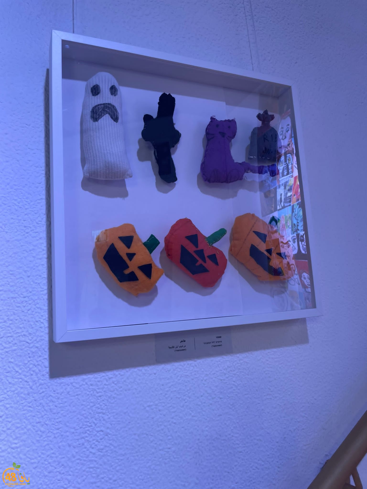 WhatsApp Image 2023-08-03 at 10.54.55 PM (4).jpeg